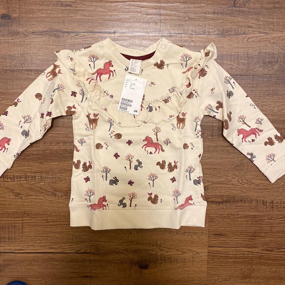 🌸H&M sweater NWT for toddler girls 🌸